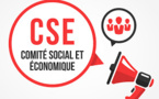 Les nouveaux CSE : la mise en place, un état des lieux inattendus…